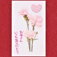 「母の日D」 綿の実工房ギフト【メッセージカード】