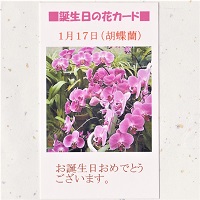 カード「誕生日の花カードB」　オリジナルギフト メッセージカード 名入れギフト・名入れ記念品 綿の実工房