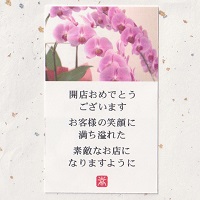 カード「胡蝶蘭」　オリジナルギフト メッセージカード 名入れギフト・名入れ記念品 綿の実工房