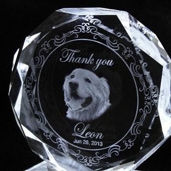 ２Ｄクリスタル名入れ ペット写真 メモリアル レーザー彫刻 名入れ記念品 オリジナル 綿の実工房