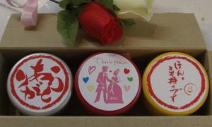 �v�`�ʃ\�t�g �I���W�i���V�[�� �������M�t�g �I���W�i���M�t�g �Ȃ̎��H�[