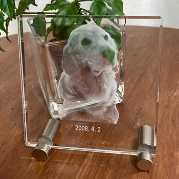 �X�^���h�t�^�C�v 2D�N���X�^�����[�U�[���������� �y�b�g�ʐ^ �I���W�i�� �L�O�i �Ȃ̎��H�[