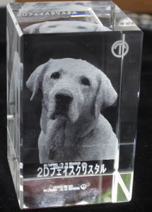 �u���b�N�^�C�v 2D�N���X�^�����[�U�[���������� �I���W�i�� ������L�O�i �ʐ^���[�U�[���H