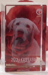 �u���b�N�^�C�v 2D�N���X�^�����[�U�[���������� �I���W�i�� ������L�O�i �ʐ^���[�U�[���H