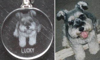 �L�[�z���_�[�E�X�g���b�v������̃y�[�W�� �Ȃ̎��H�[