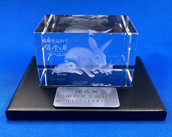 CC-1 CCENA  3D[U[NX^ 񑡃v[gFt x Ȃ̎H[