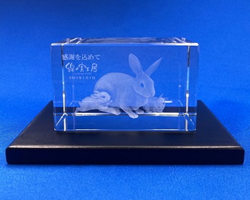 CC-1 CCENA ꂠ 3D[U[NX^ xK