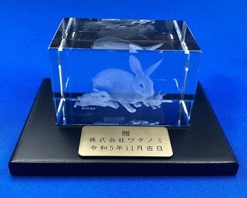 CC-1 CCENA Ȃ 3D[U[NX^ 񑡃v[gFt xK