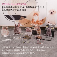アクリルペットメモリアル　名入れ記念品