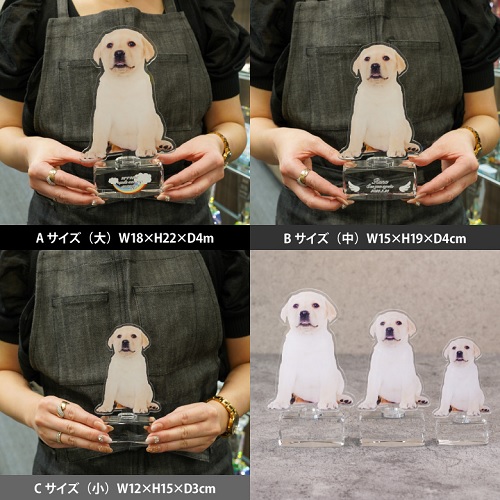 サイズについて アクリルペットメモリアル名入れ 名入れ記念品 写真 オリジナルギフト