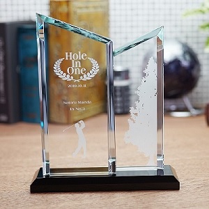 ホールインワン達成 ゴルフデザイン ゴルフコンペ 表彰 賞品 トロフィー名入れ 名入れ記念品