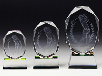 SS-1 ゴルフ クリスタルスポーツトロフィー名入れ記念品